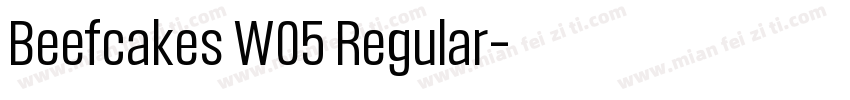 Beefcakes W05 Regular字体转换